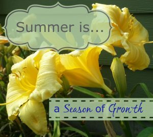 summer is growth